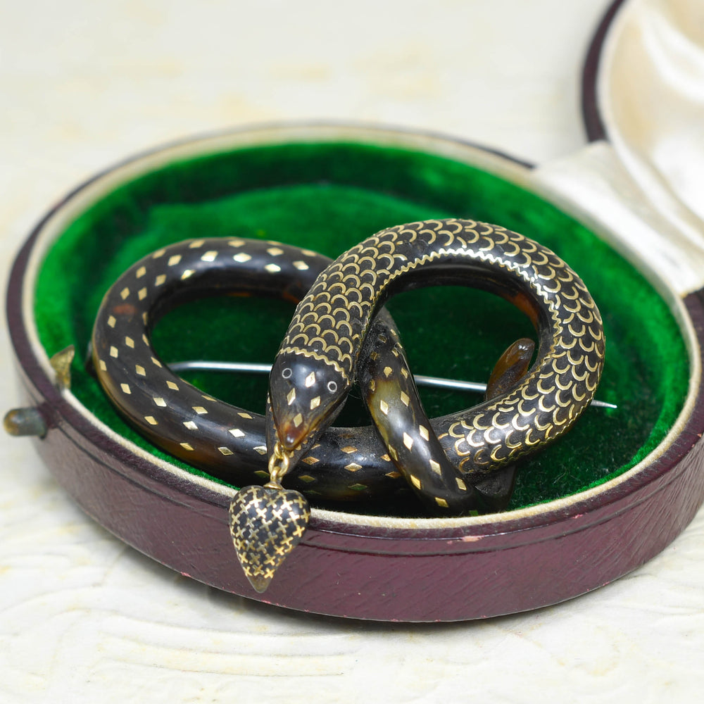 Victorian Pique Love Knot Snake Brooch