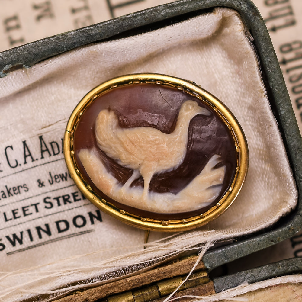 Georgian Emu Cameo Brooch