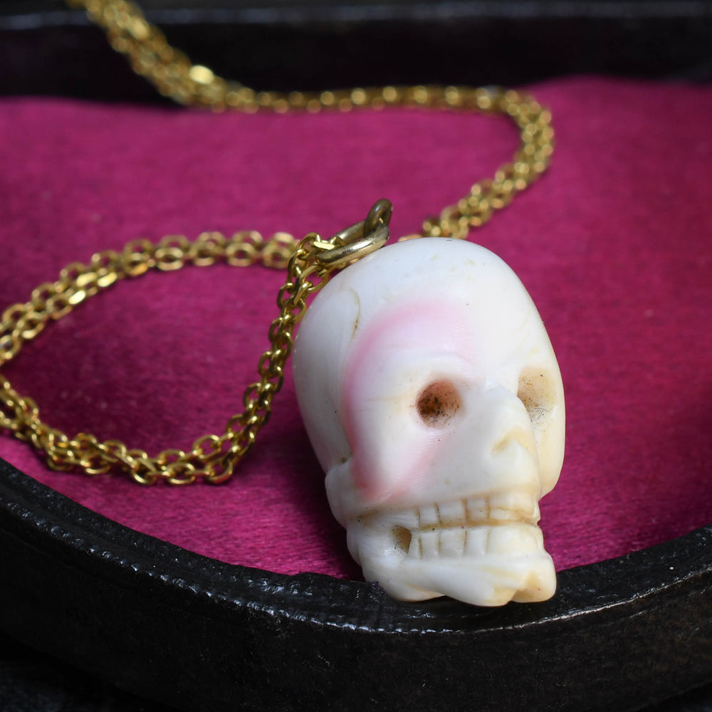 Victorian Conch Skull Pendant