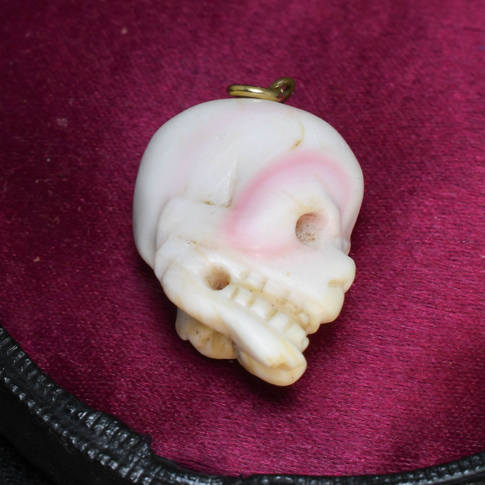 Victorian Conch Skull Pendant