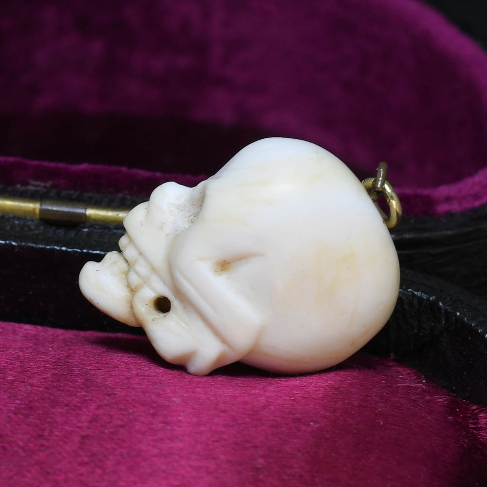 Victorian Conch Skull Pendant