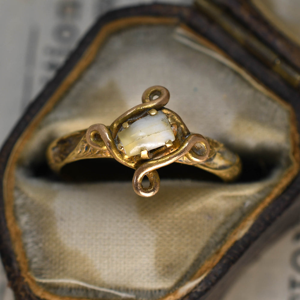 Georgian Milk Tooth Ring