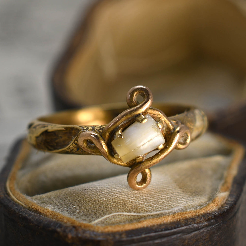 Georgian Milk Tooth Ring