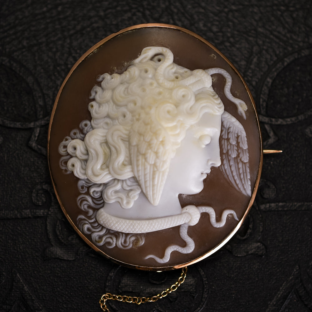 Victorian Medusa Cameo Brooch