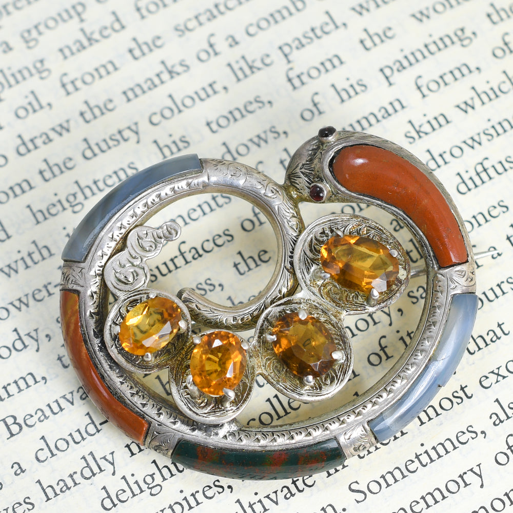 Victorian Scottish Agate & Citrine Snake Brooch