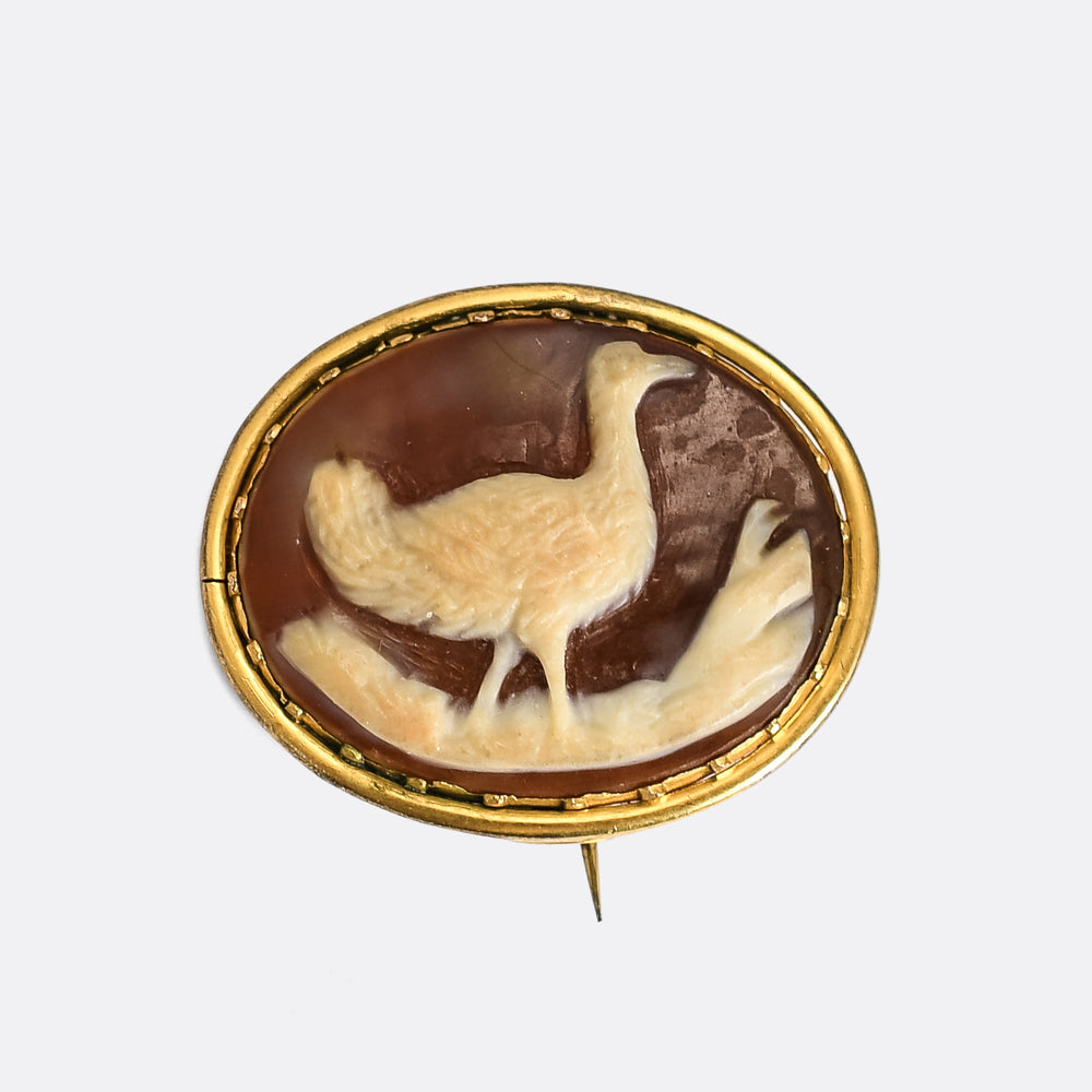 Georgian Emu Cameo Brooch