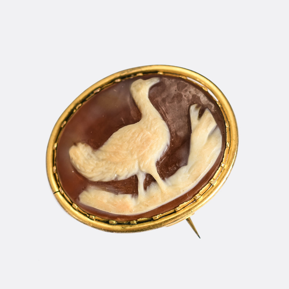 Georgian Emu Cameo Brooch