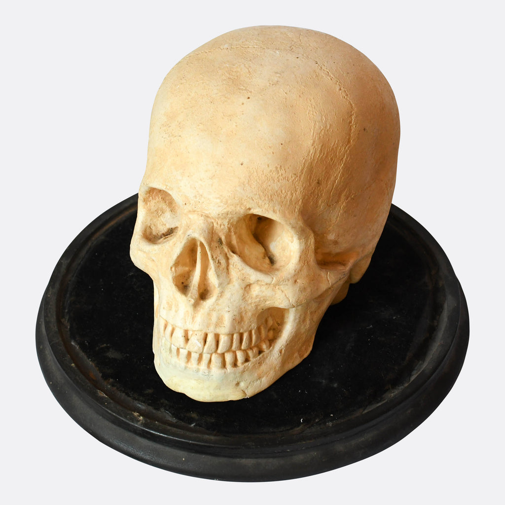RareVictorianGothicSkullinGlas
