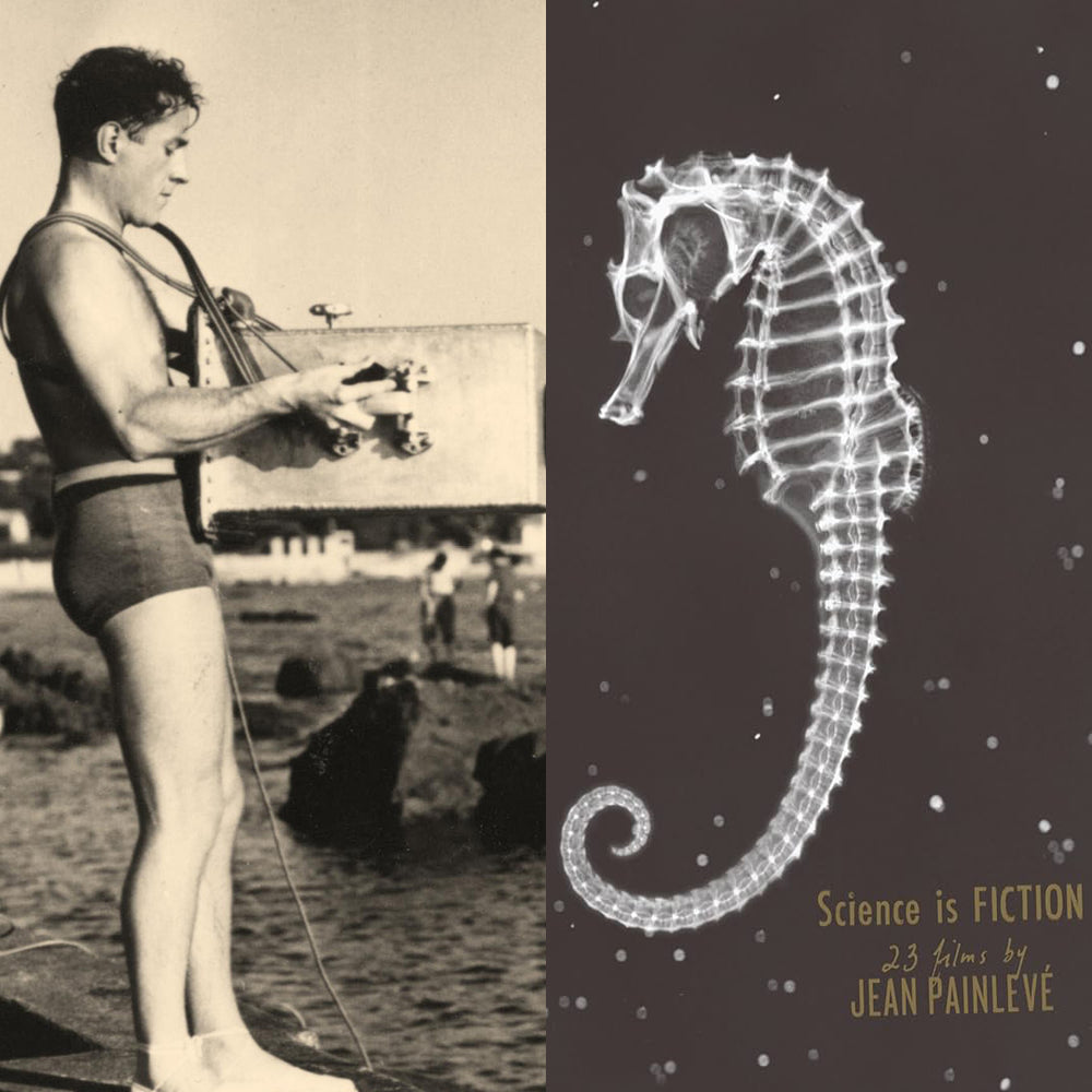 Art Deco Jean Painlevé Bakelite Seahorse Bangle