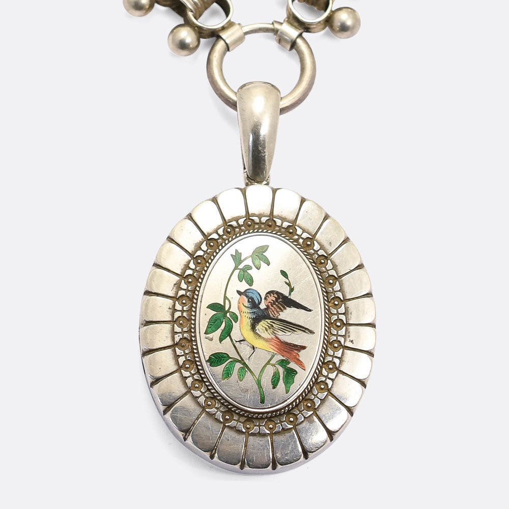 Victorian Enamelled Swallow Locket & Collar