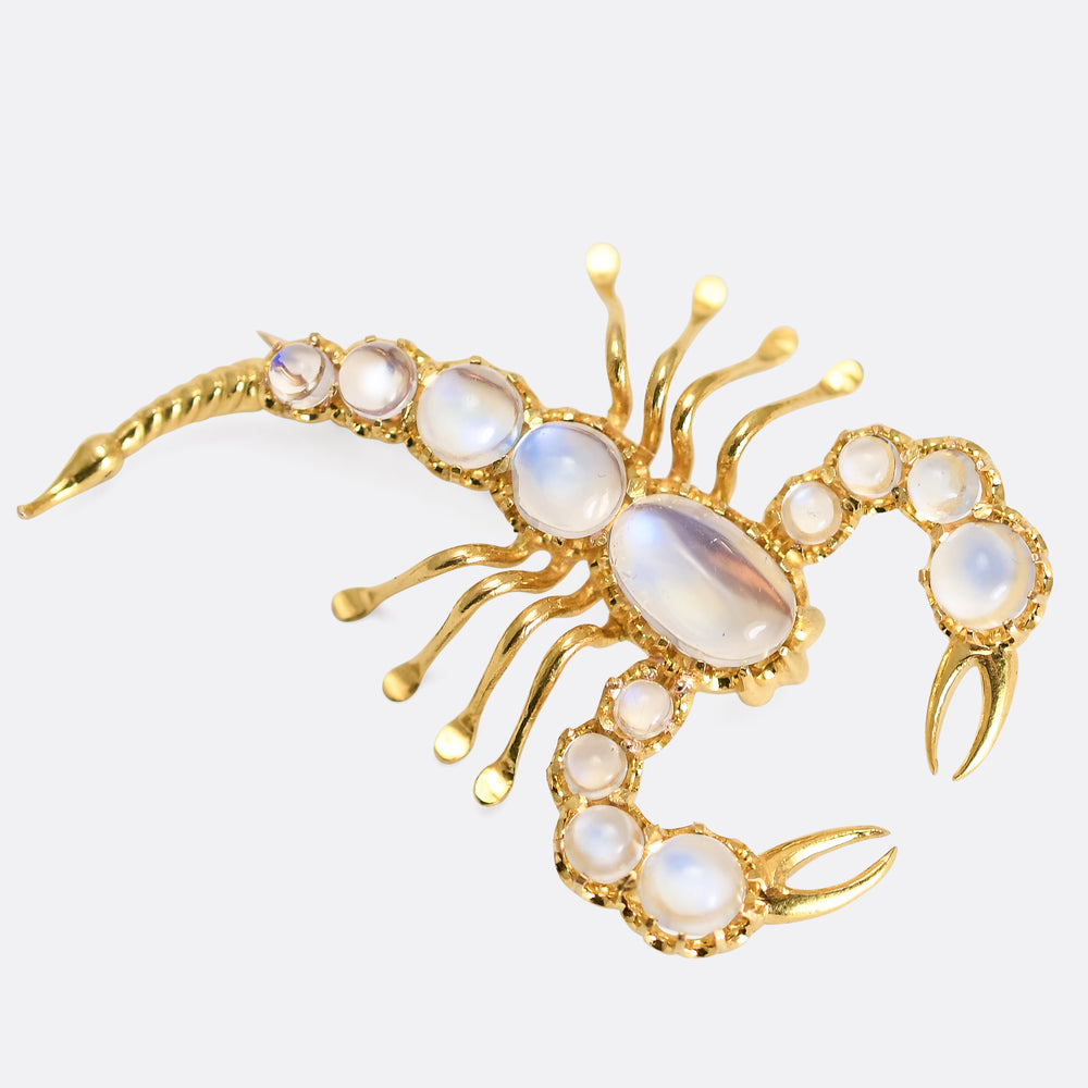 Victorian Moonstone Scorpion Brooch
