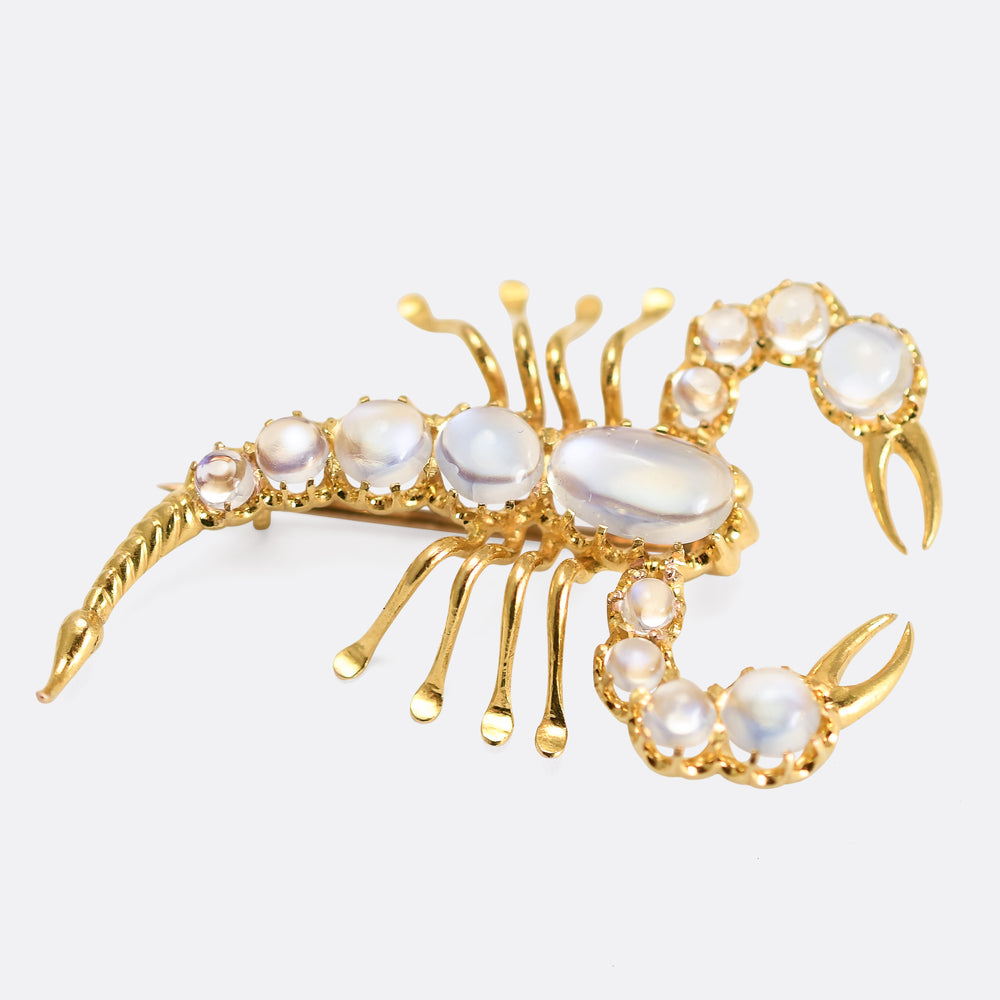 Victorian Moonstone Scorpion Brooch