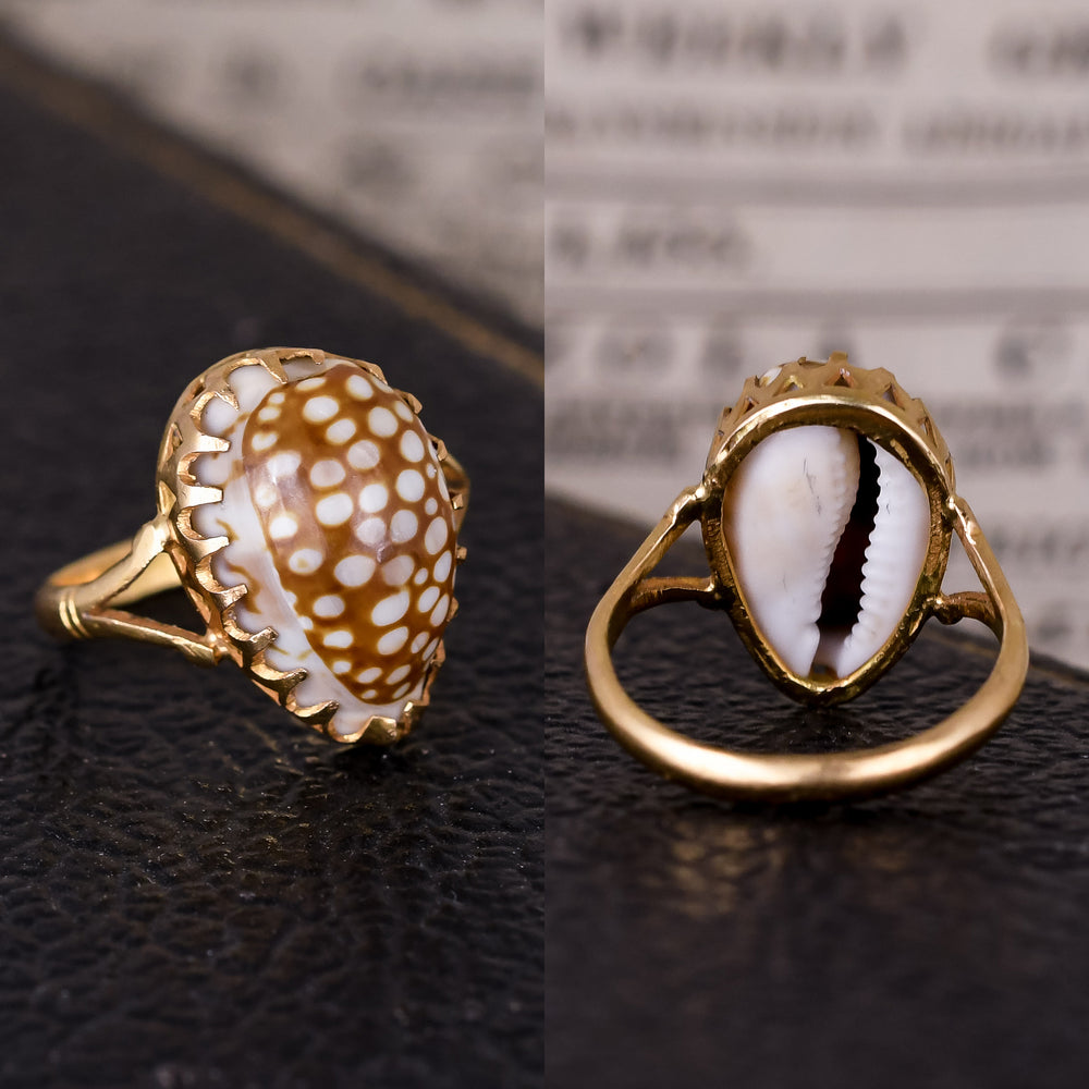 Late Victorian Cowrie Shell Ring