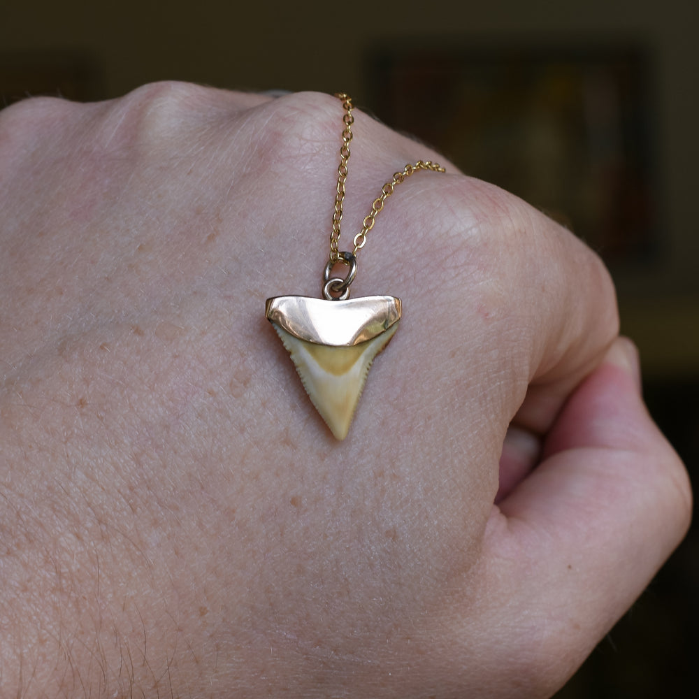 Victorian Shark Tooth Pendant