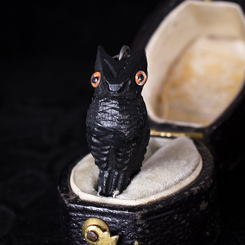 Victorian Bog Oak Owl