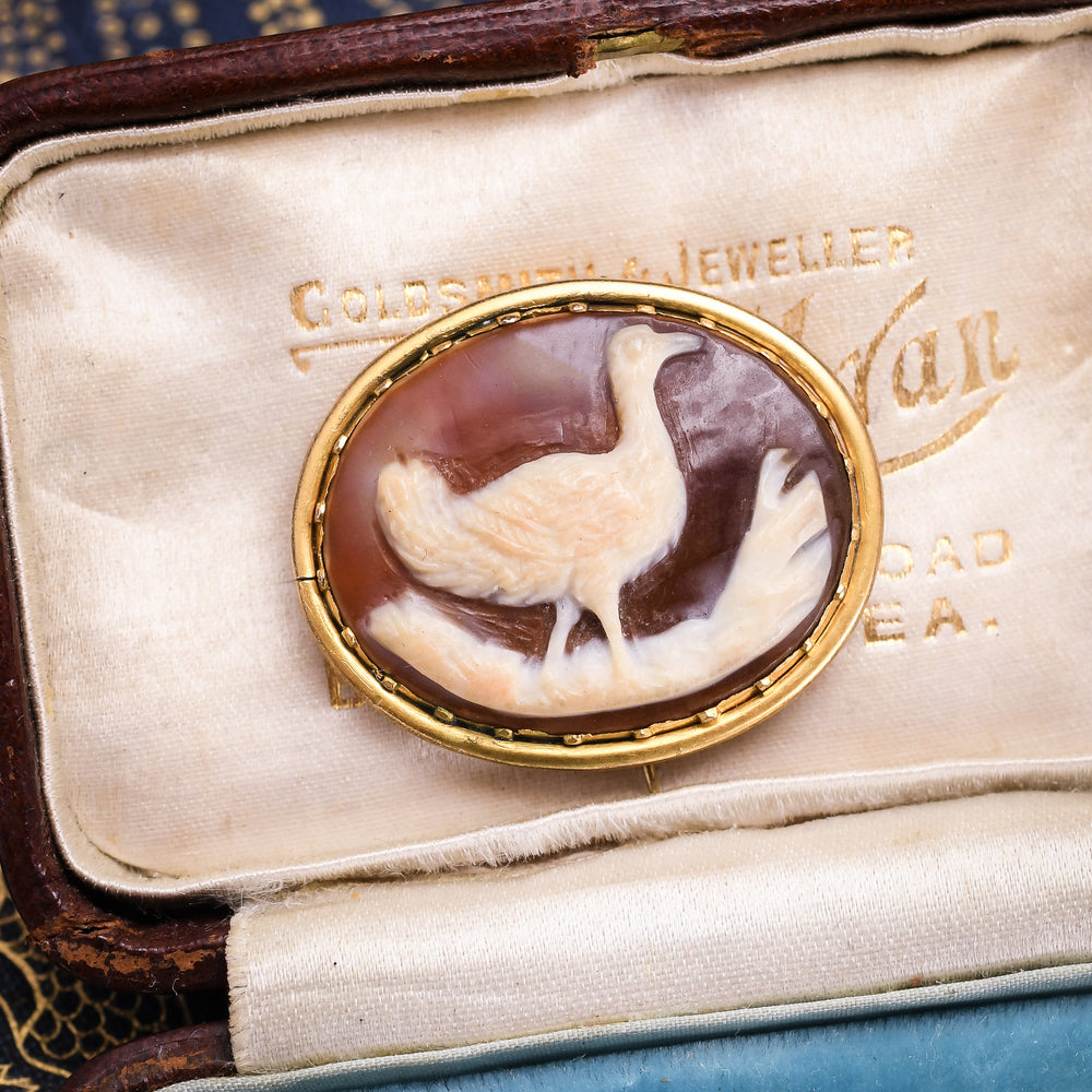 Georgian Emu Cameo Brooch
