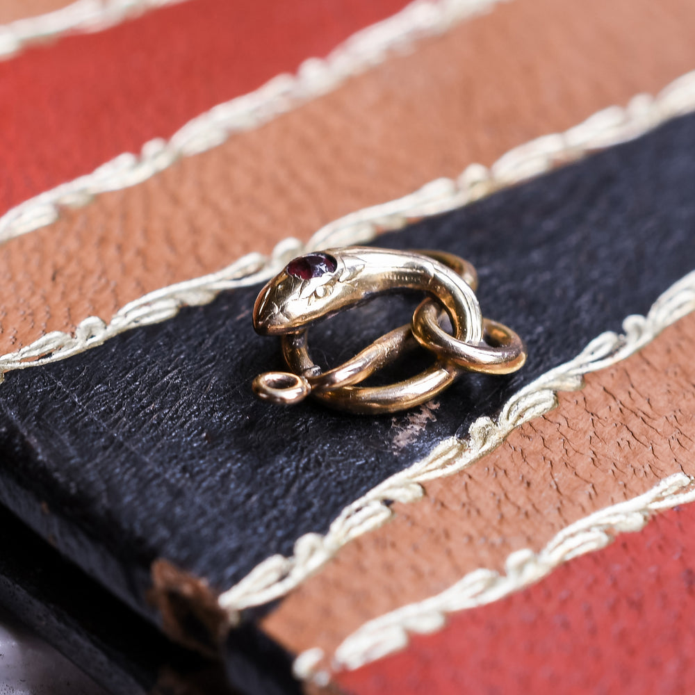 Victorian Ruby Serpent Charm