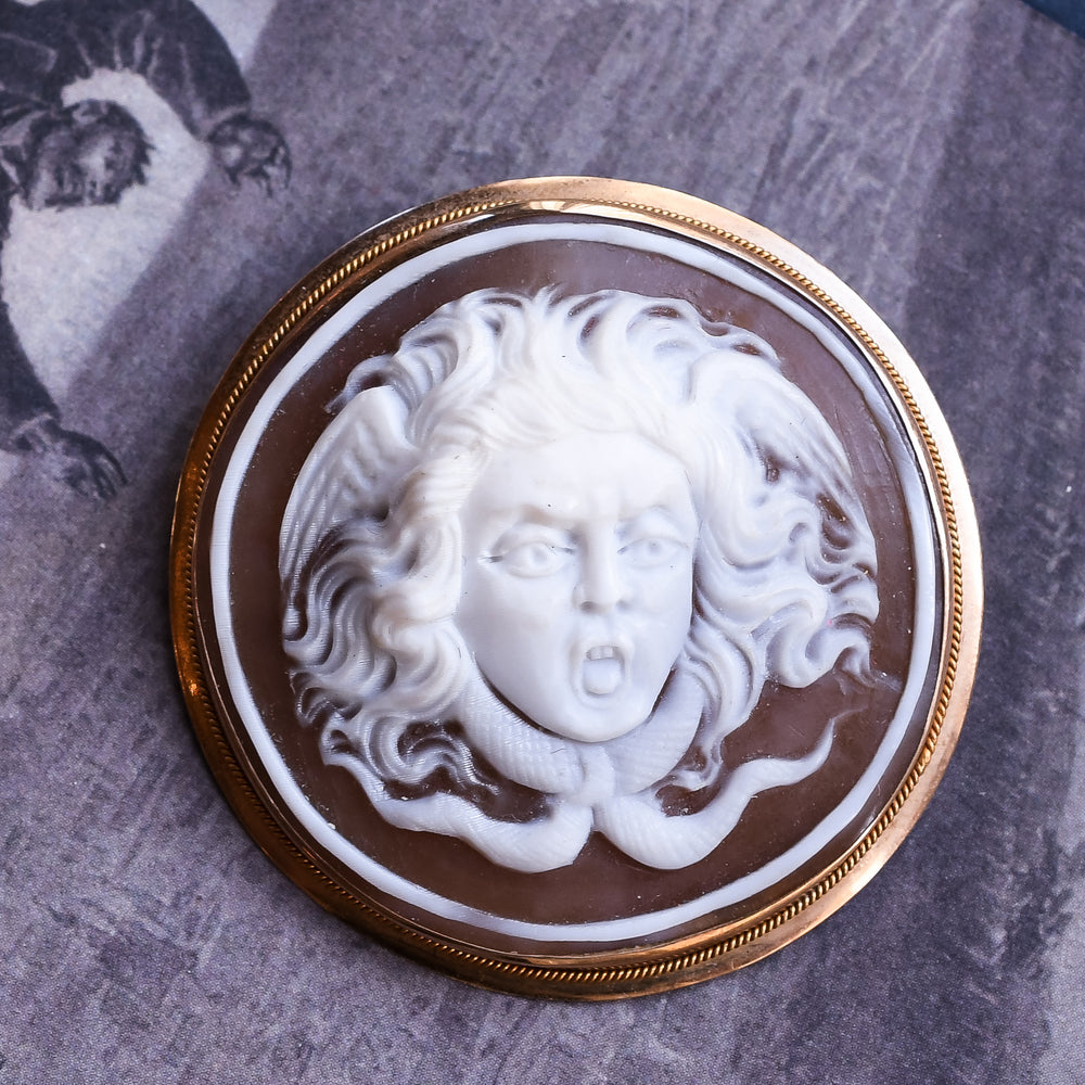 Victorian Revival Medusa the Gorgon Shell Cameo Brooch