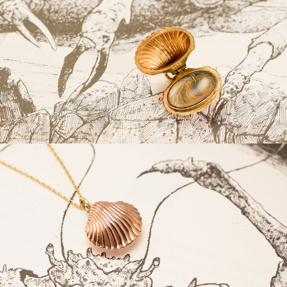 Victorian Gold Shell Locket