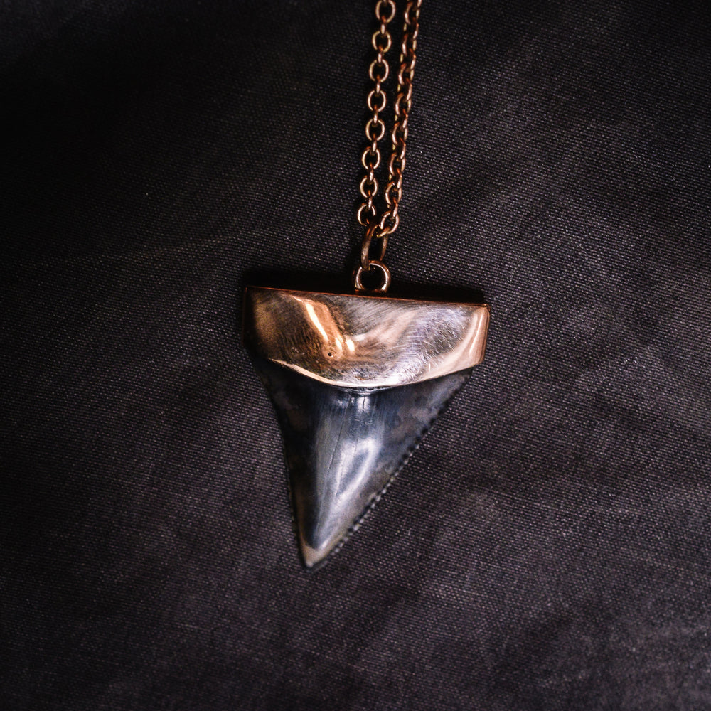 Victorian Shark Tooth Pendant