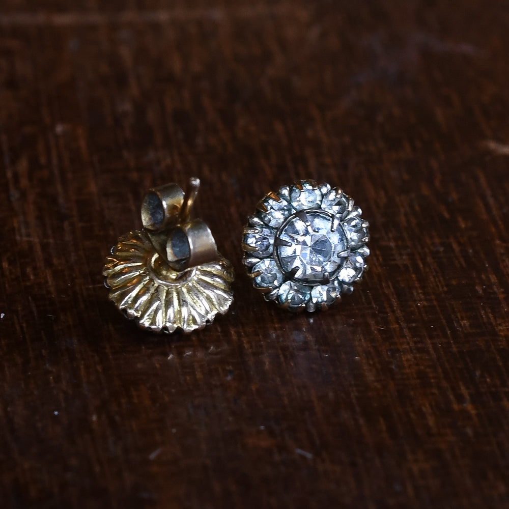 Edwardian Paste Flower Cluster Earrings