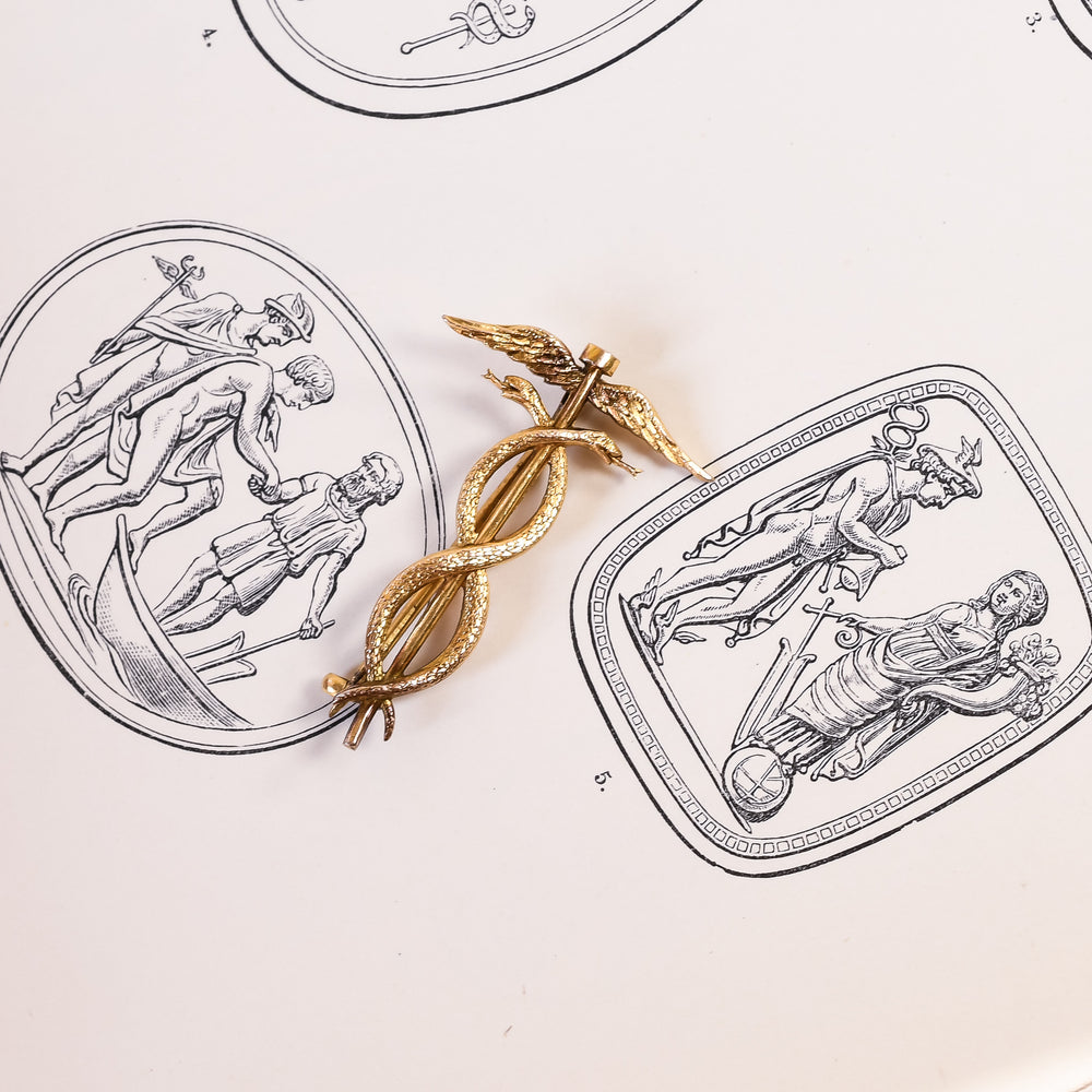Edwardian Gold Caduceus Brooch