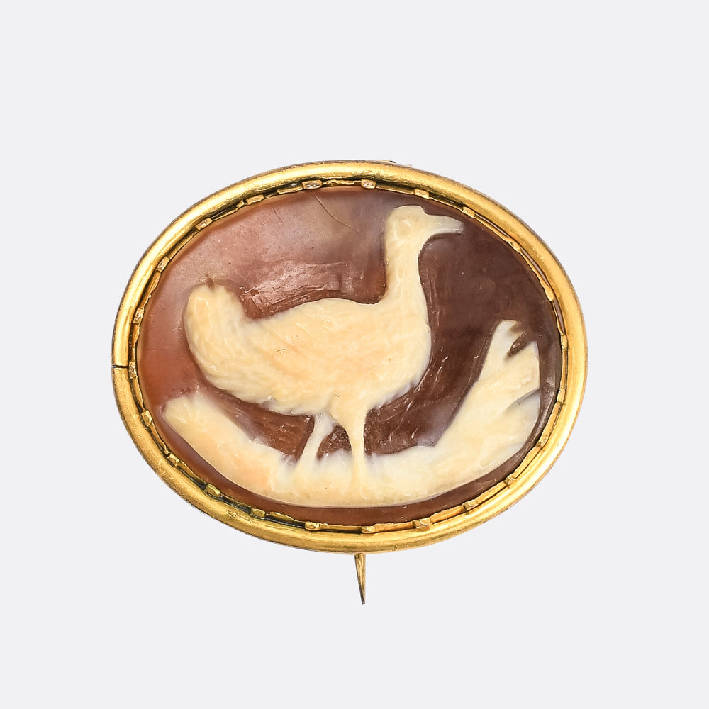 Georgian Emu Cameo Brooch