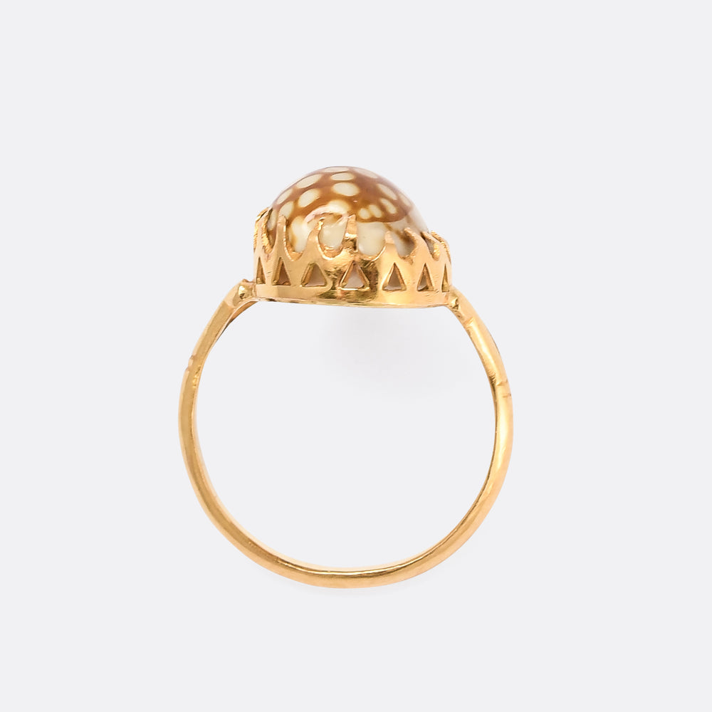 Late Victorian Cowrie Shell Ring