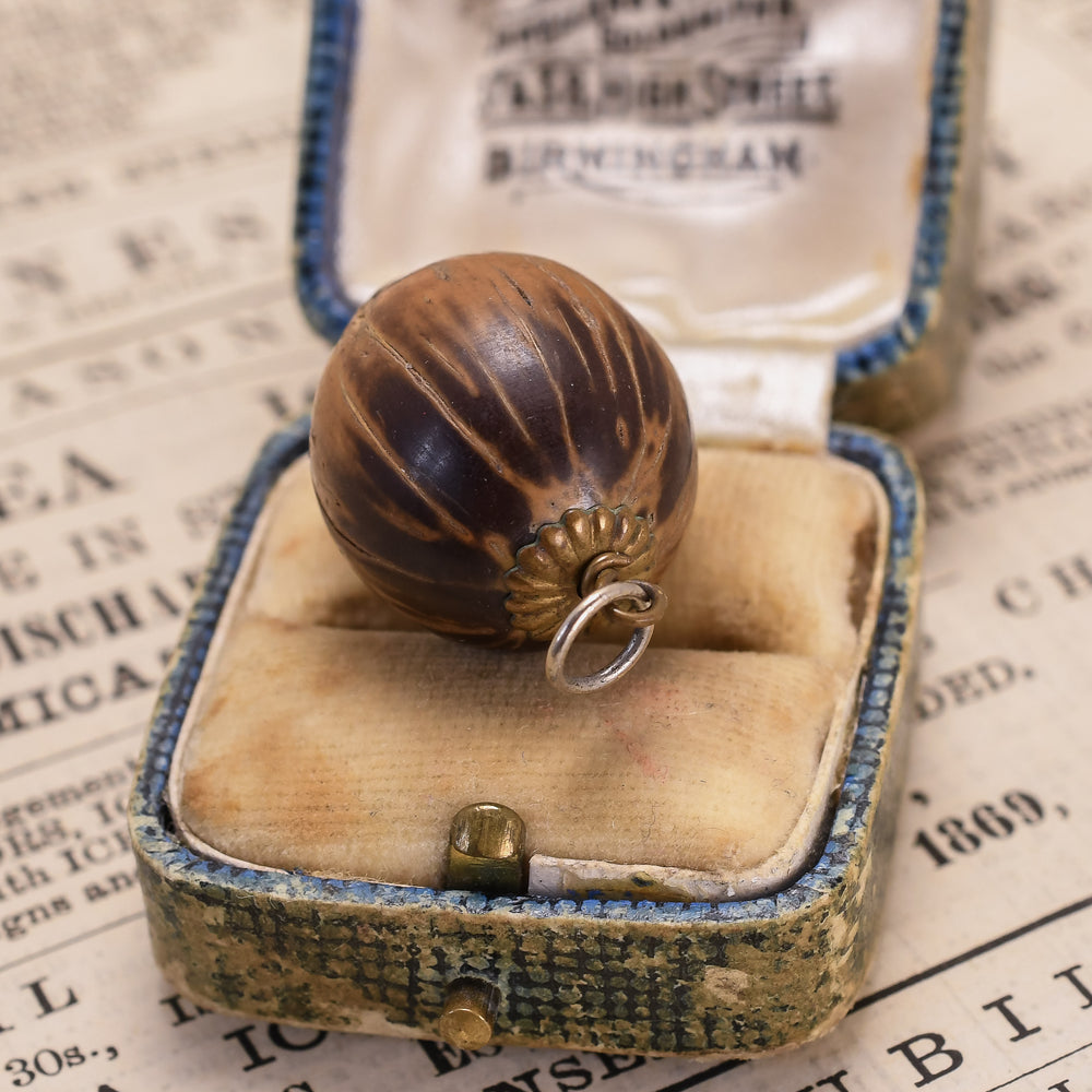 Victorian Sea Bean