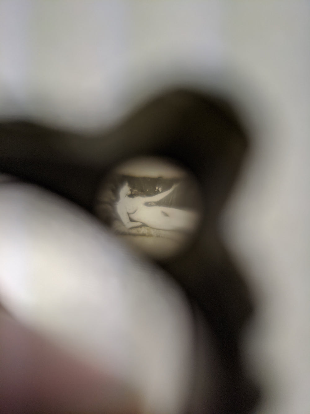 Art Nouveau Naked Lady Stanhope Ring