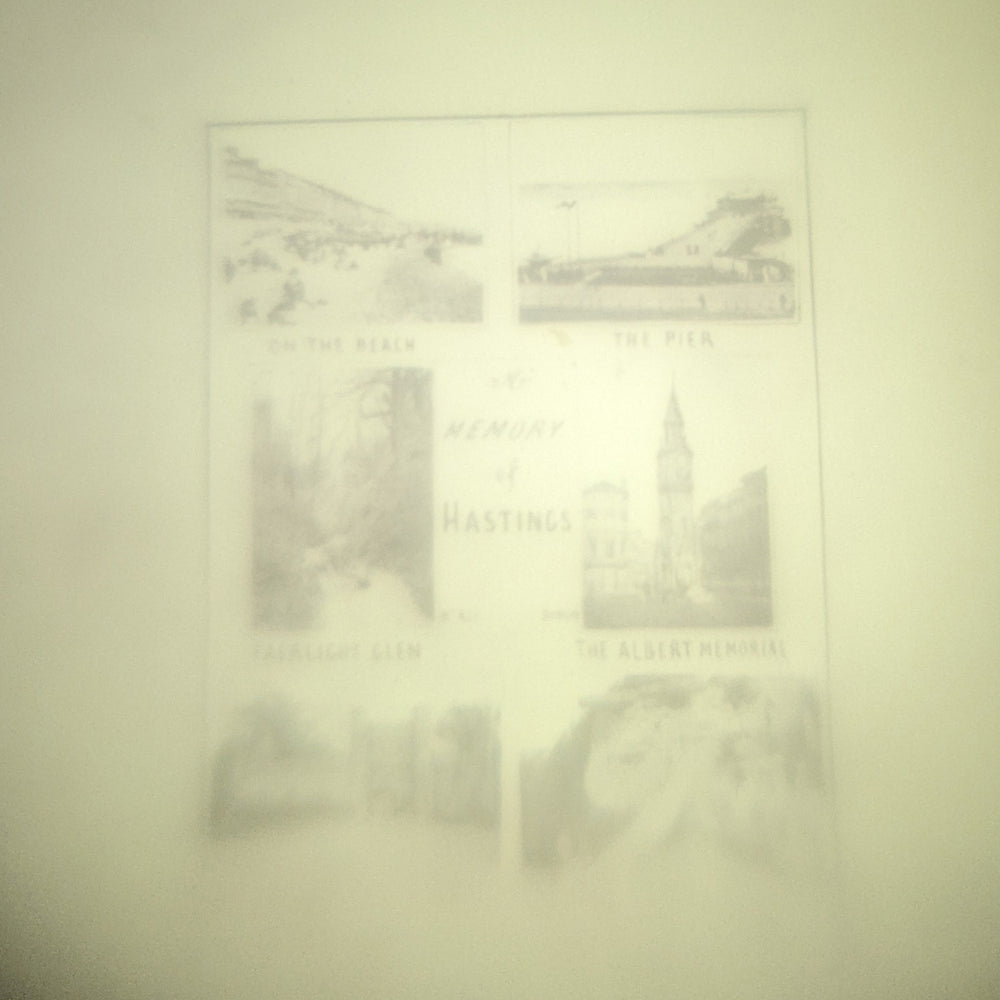 Victorian Bog Oak Owl