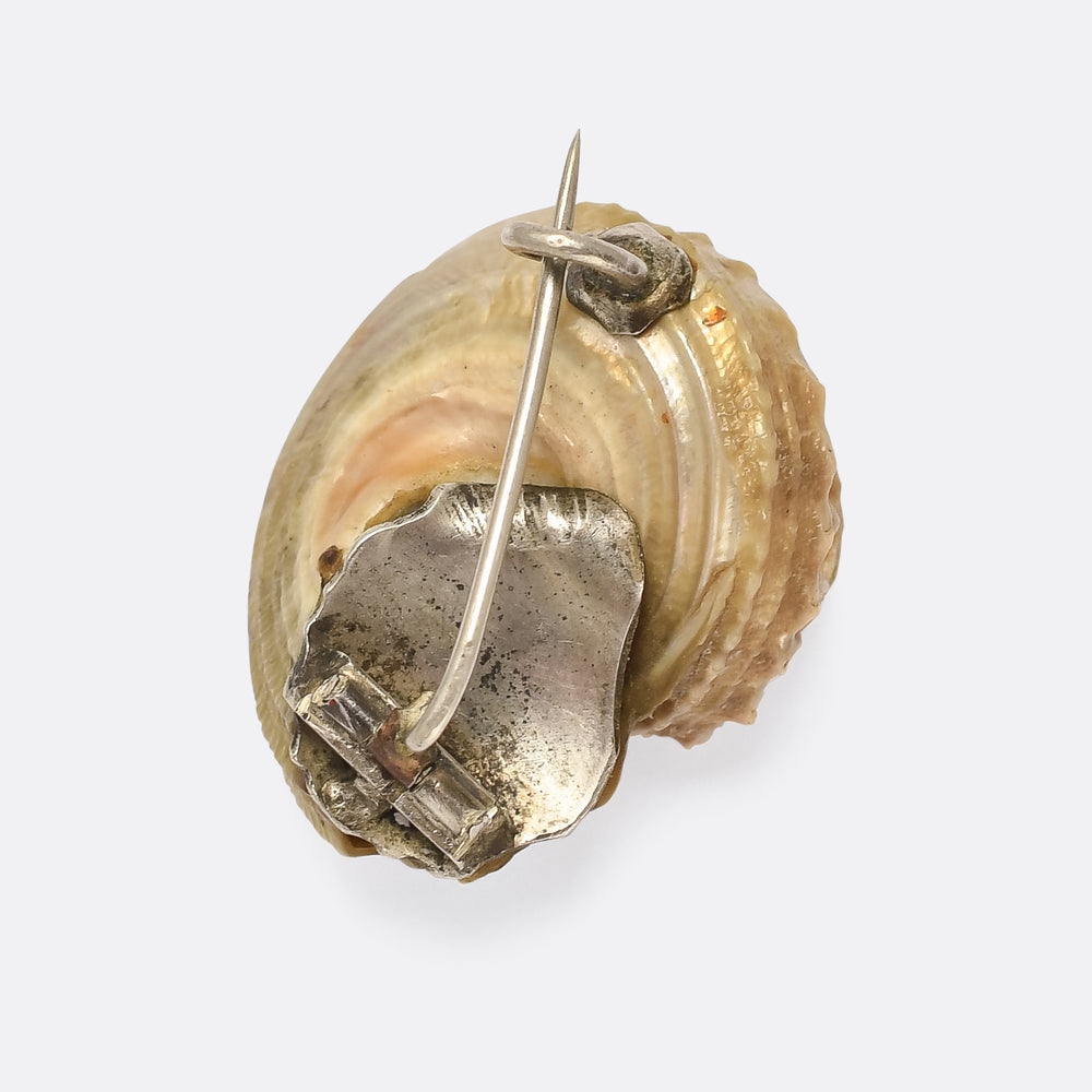 Victorian Iridescent Sea Snail Shell Brooch
