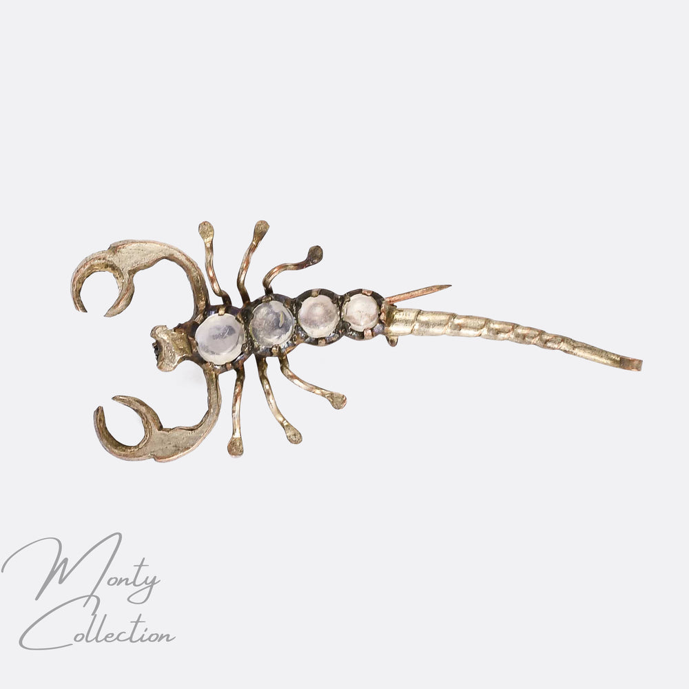 Victorian Moonstone Scorpion Brooch