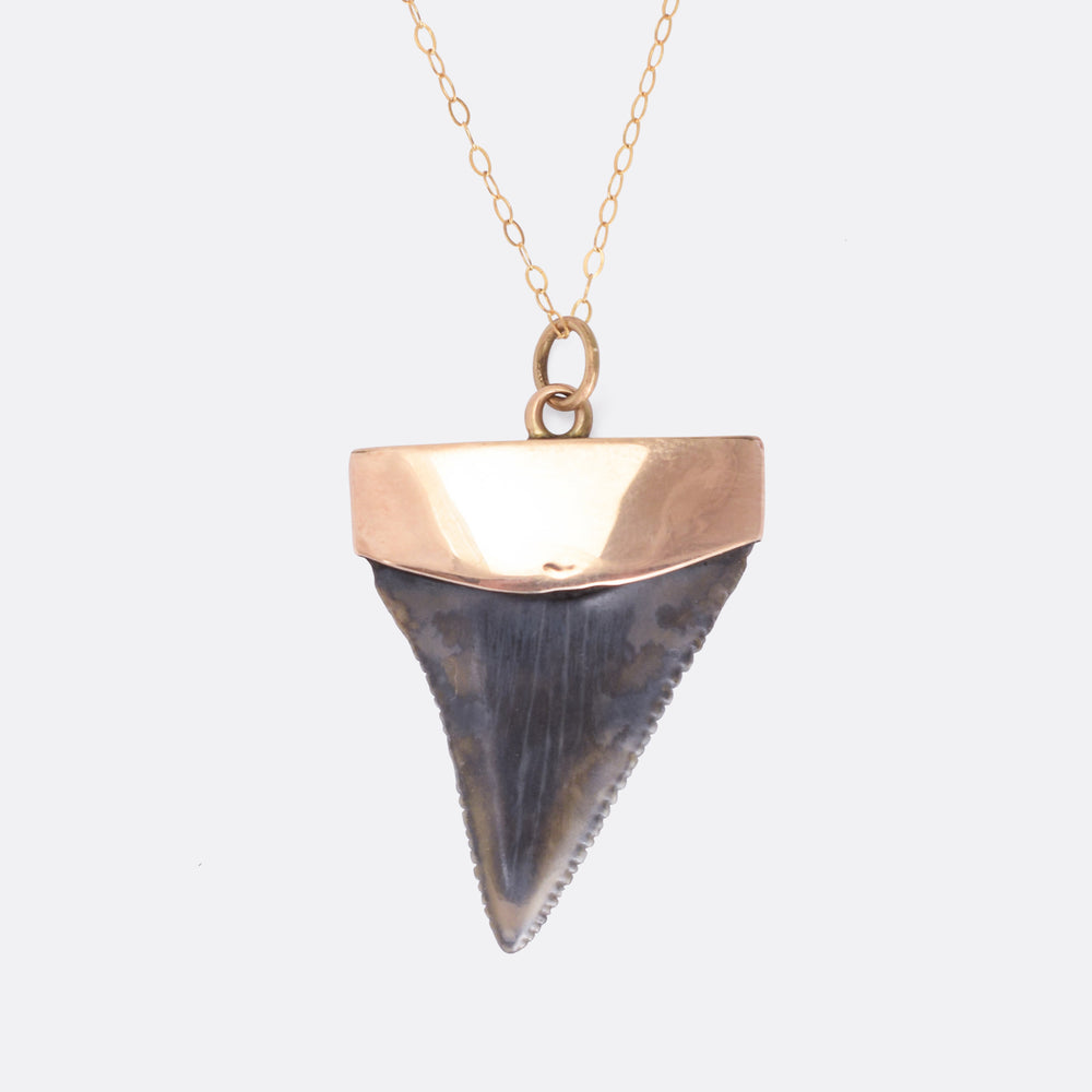 Victorian Shark Tooth Pendant