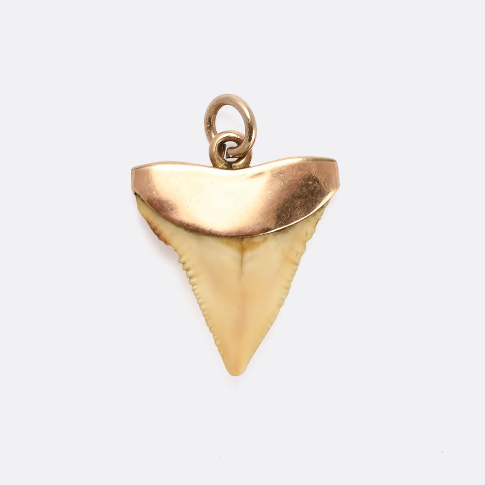 Victorian Shark Tooth Pendant