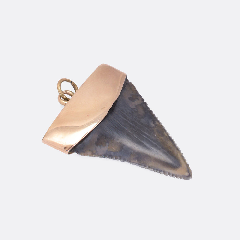 Victorian Shark Tooth Pendant