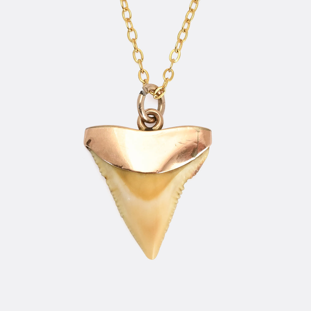 Victorian Shark Tooth Pendant