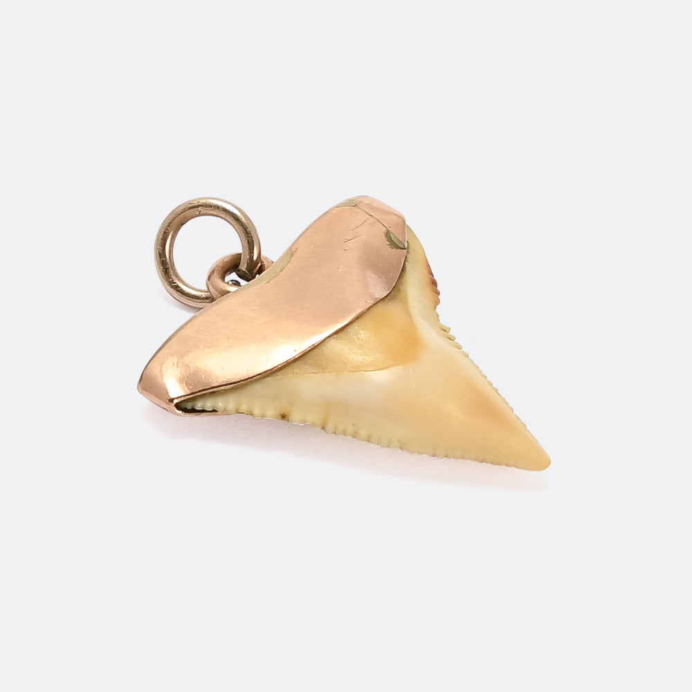 Victorian Shark Tooth Pendant