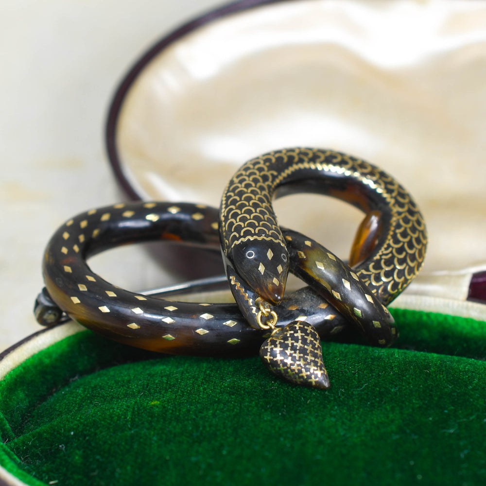 Victorian Pique Love Knot Snake Brooch