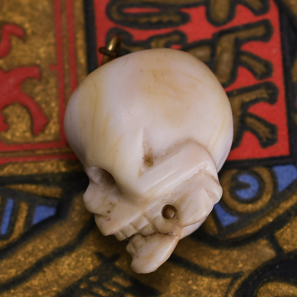 Victorian Conch Skull Pendant