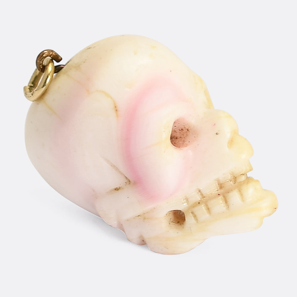 Victorian Conch Skull Pendant