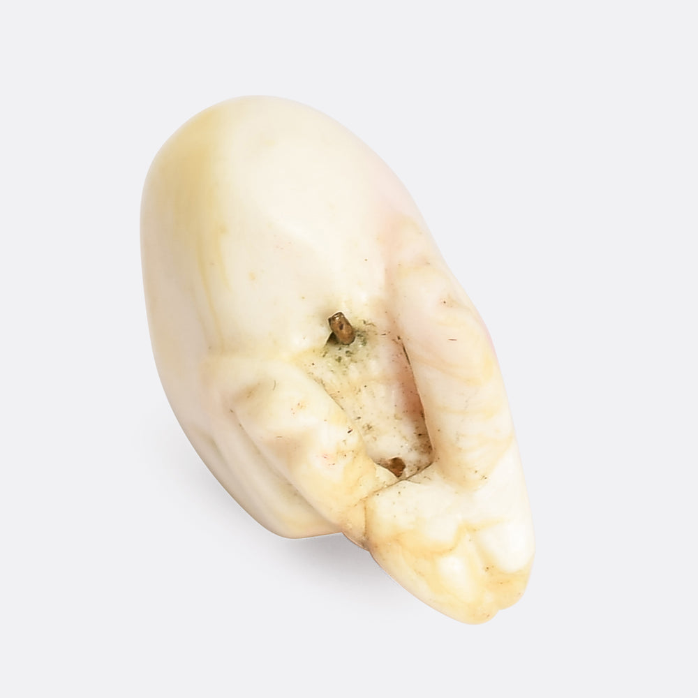 Victorian Conch Skull Pendant
