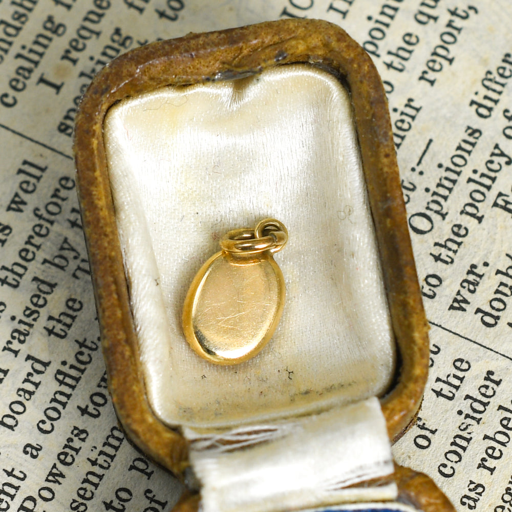 Late Victorian Oval Coral Charm