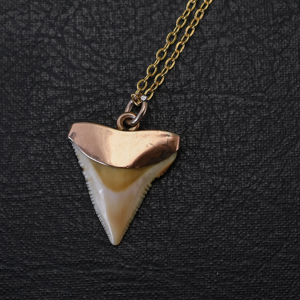 Victorian Shark Tooth Pendant