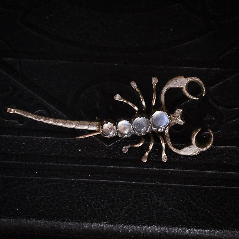 Victorian Moonstone Scorpion Brooch