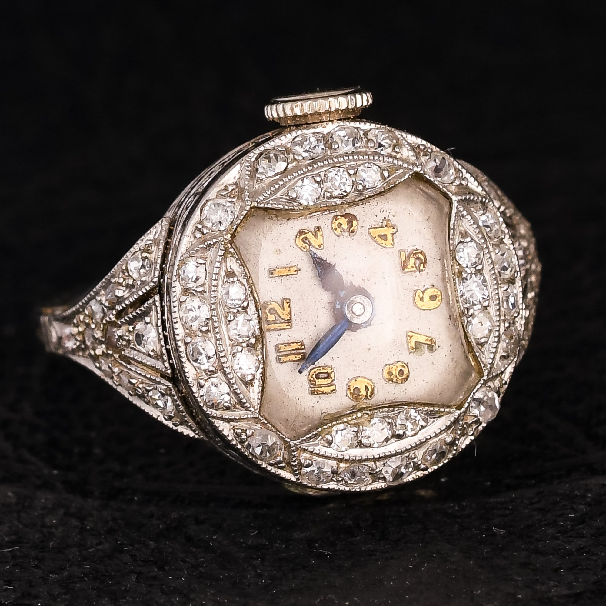 Rotary Watches