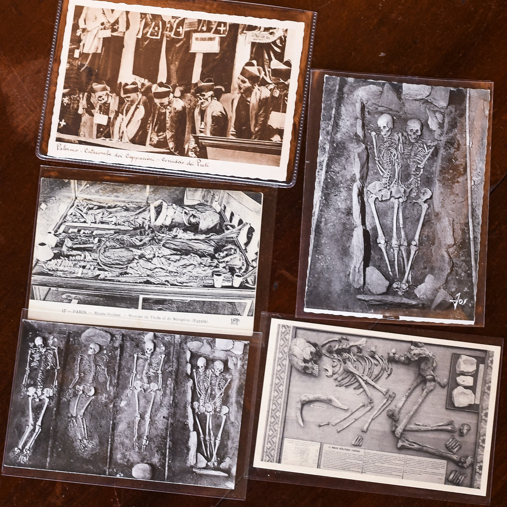 Macabre Collection of 20th Century Postcards