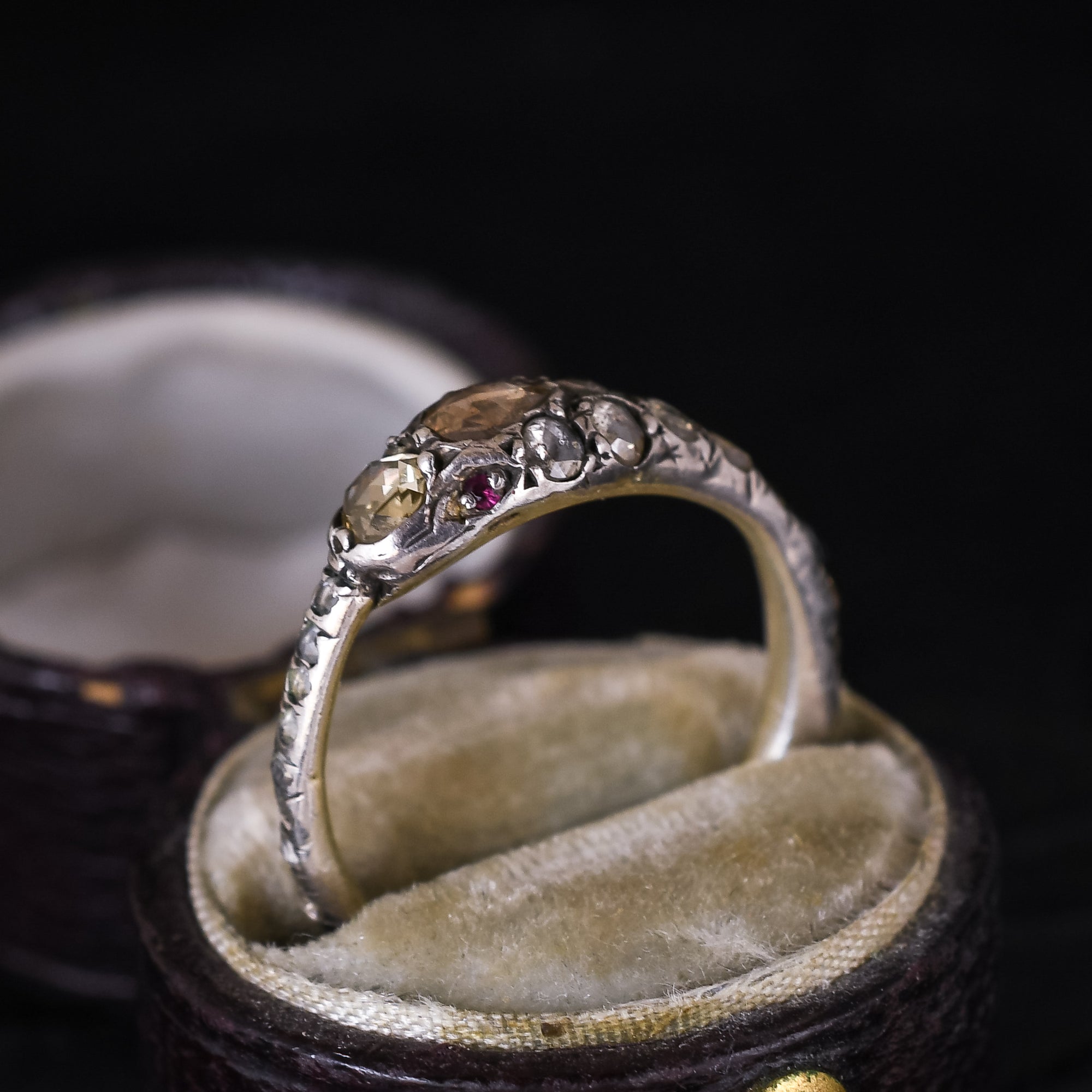 Antique ouroboros best sale ring