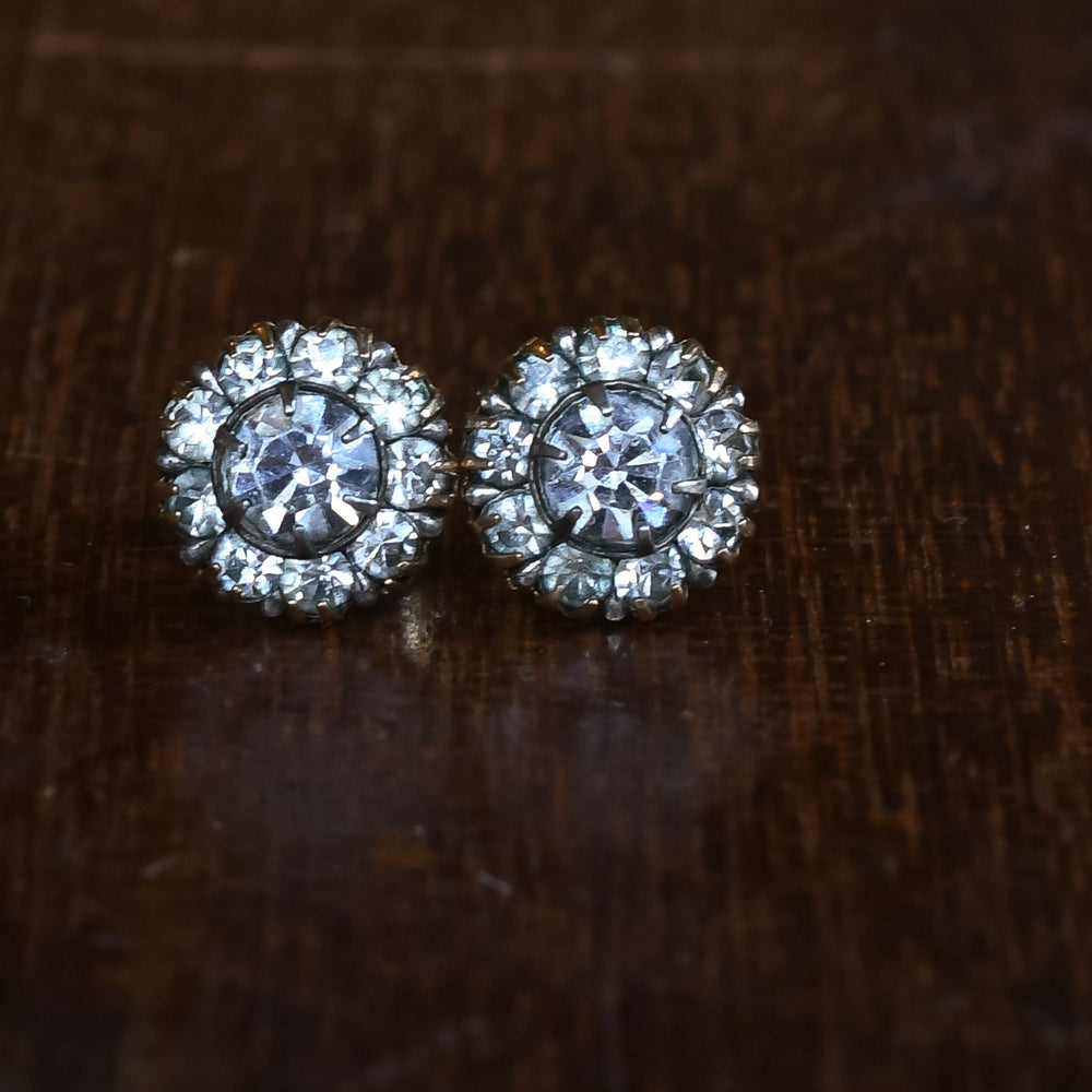 Edwardian Paste Flower Cluster Earrings