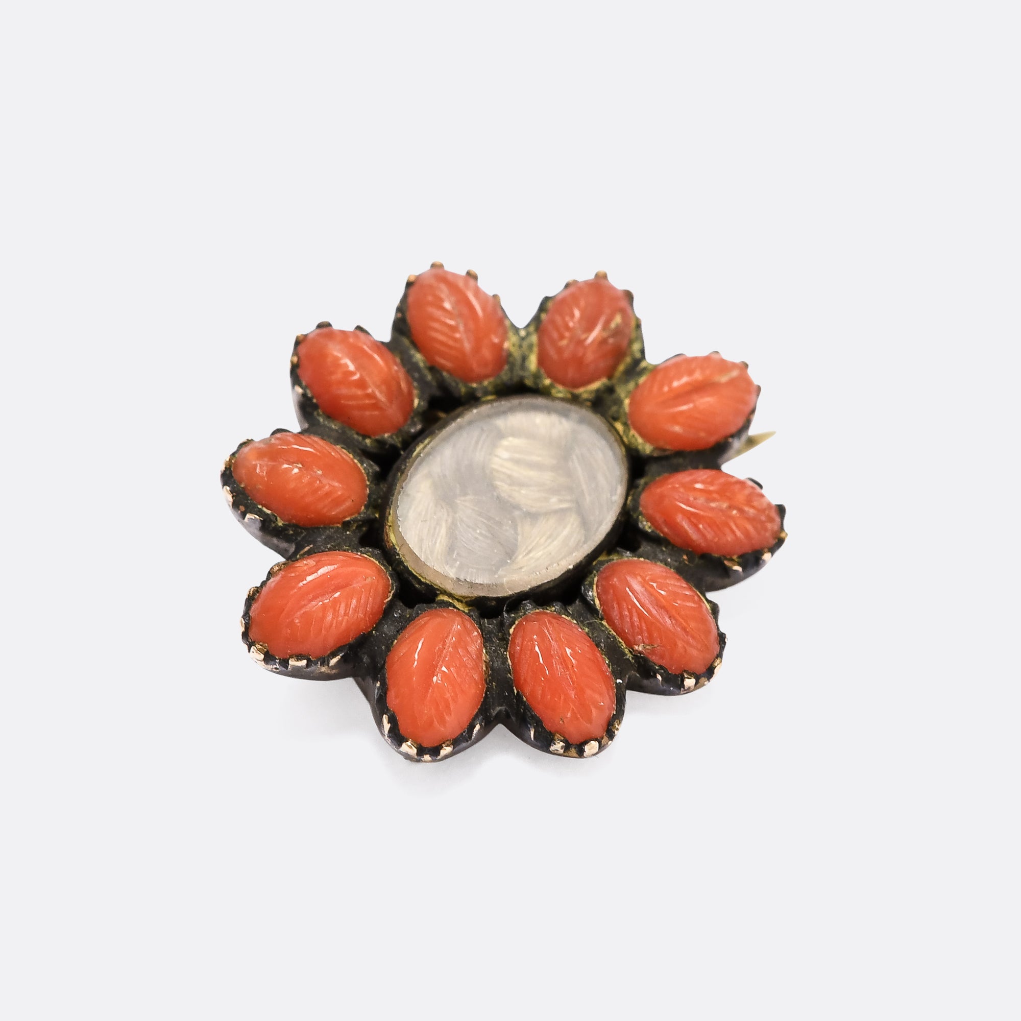 Coral brooch discount